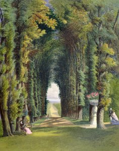 Vista in the Gardens of Teddesley, fra 